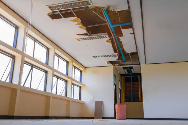 Best Water damage restoration near me  in Summit, NJ