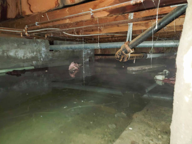 Best Residential water damage restoration  in Summit, NJ