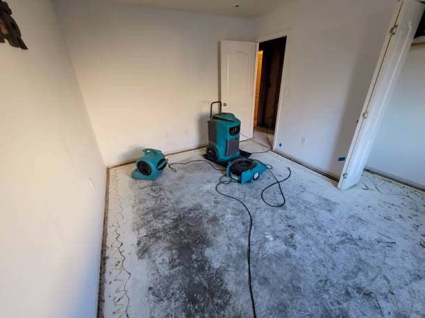 Best Basement water damage restoration  in Summit, NJ