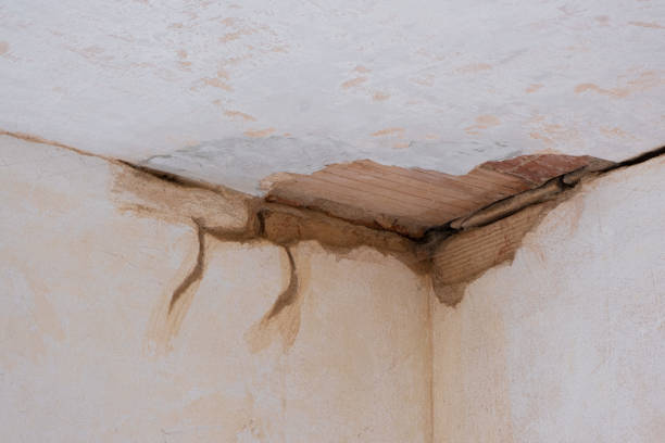  Summit, NJ Water damage restoration Pros