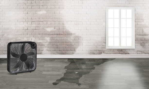 Best 24-hour water damage restoration  in Summit, NJ