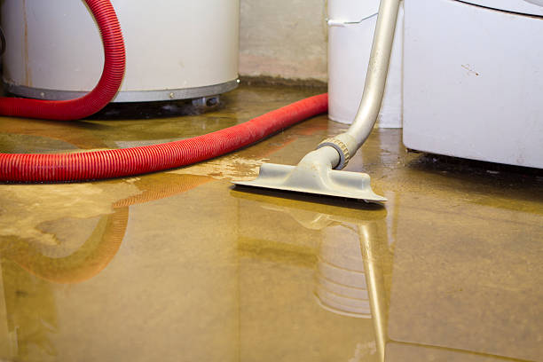 Best Sewage cleanup and water damage restoration  in Summit, NJ