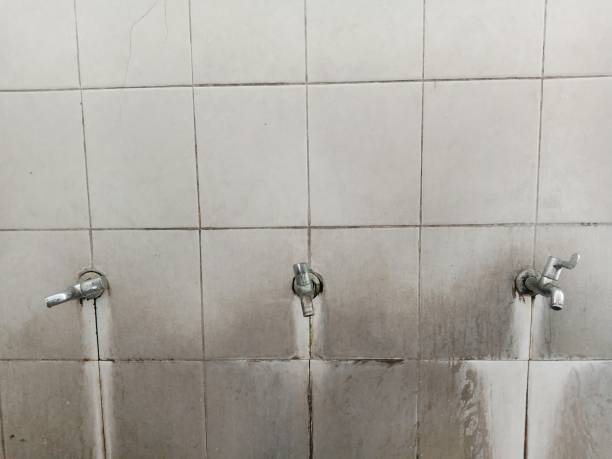 Best Water damage restoration near me  in Summit, NJ