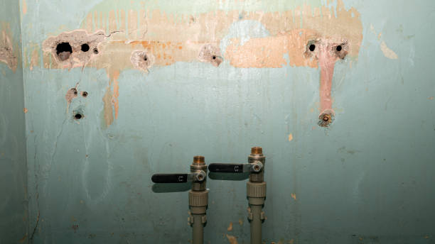 Best Mold removal after water damage  in Summit, NJ